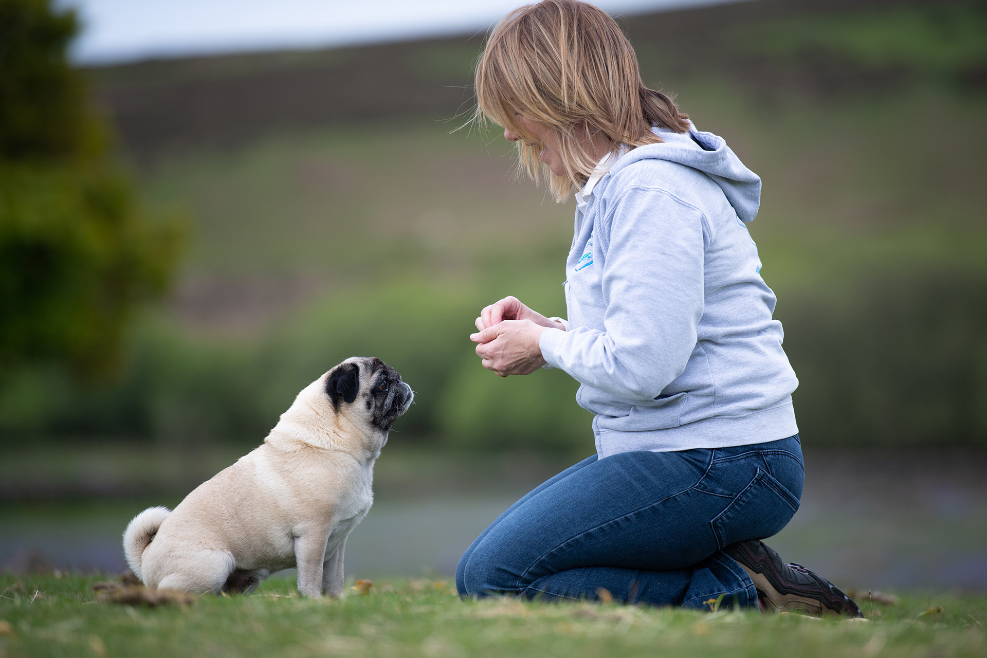 dog behaviour support Bovey Tracey, Ashburton, Buckfastleigh, Chudleigh, Newton Abbot, Torquay, Paignton, Exeter & Plymouth