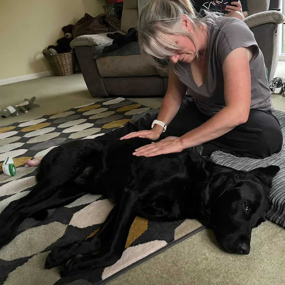 Canine Myotherapy Bovey Tracey, Ashburton, Buckfastleigh, Chudleigh, Newton Abbot, Torquay, Paignton, Exeter & Plymouth