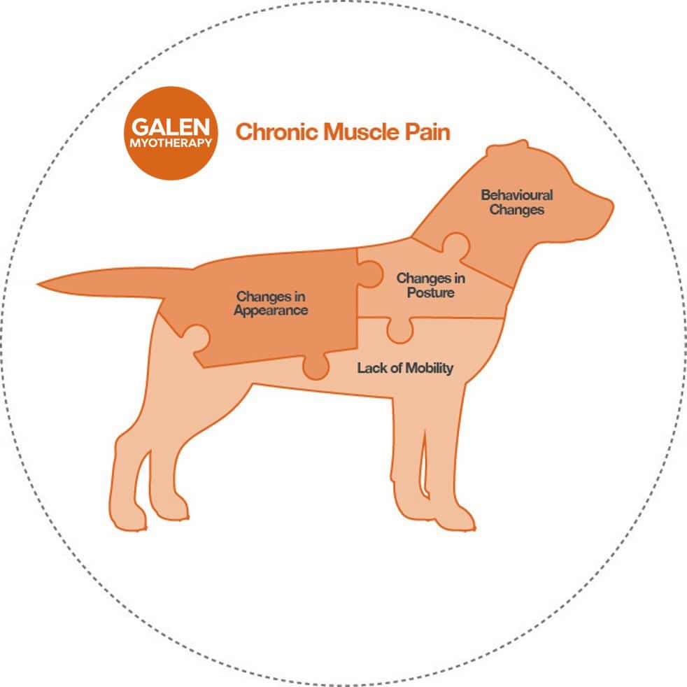 Galen Myotherapy Chronic Muscle Pain